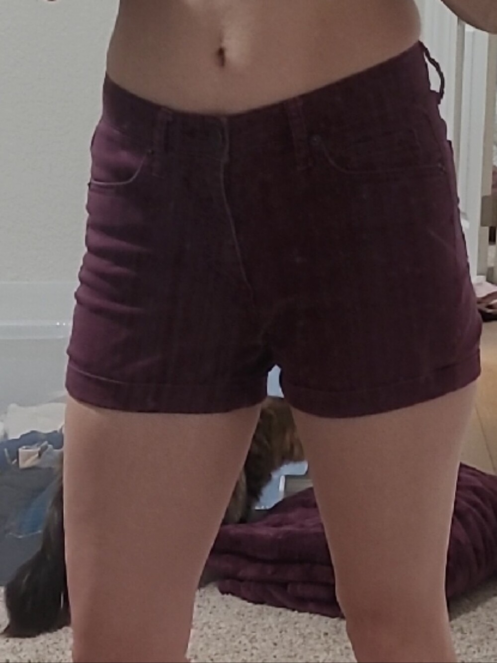 Aeropostale Burgundy Shorts